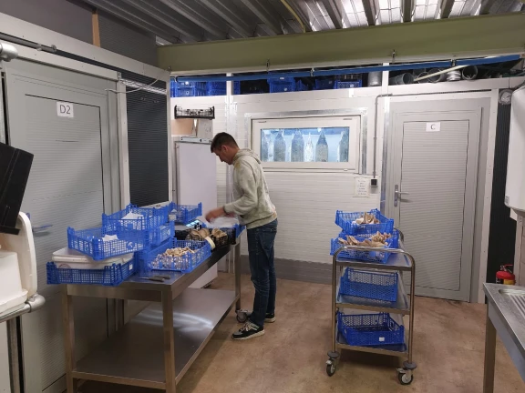 Afbeelding van de werkplek 'SpijkerZwam'.