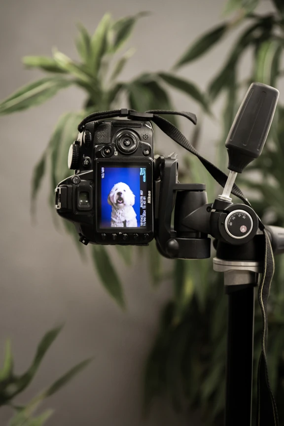 Afbeelding van de werkplek 'Next@Work - Multimedia'.