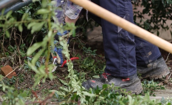 Afbeelding van de werkplek 'Huis voor de Wijk- groenteam'.