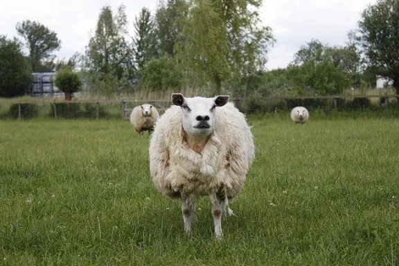 Afbeelding van de werkplek 'De Buitenlui - De Buitenplaats'.